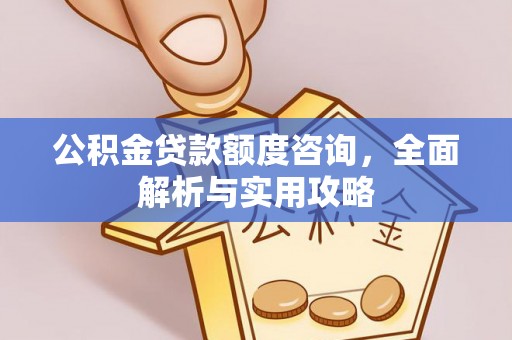 仁布公积金贷款额度咨询，全面解析与实用攻略