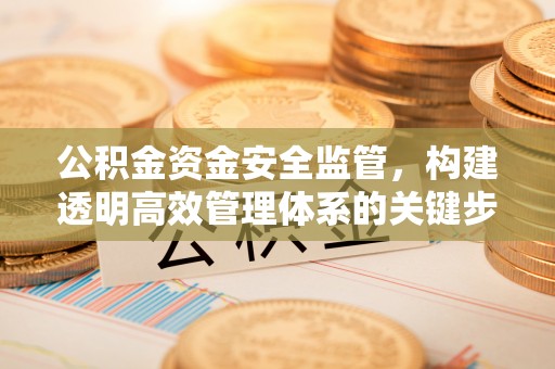 仁布公积金资金安全监管，构建透明高效管理体系的关键步骤