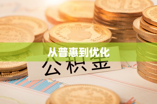 仁布从普惠到优化