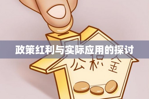 仁布政策红利与实际应用的探讨