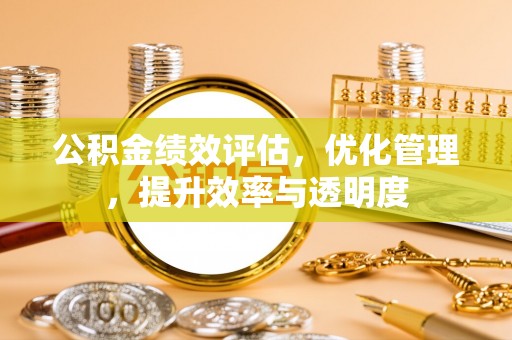 仁布公积金绩效评估，优化管理，提升效率与透明度
